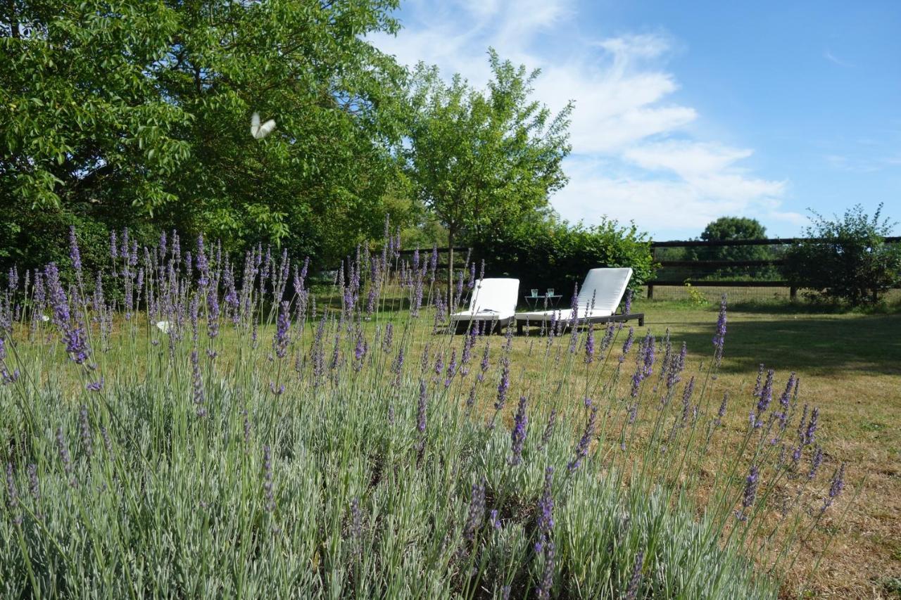 Le Cottage Du Coudray, Gite Avec Chalet Sauna La Fresnaie-Fayel 外观 照片
