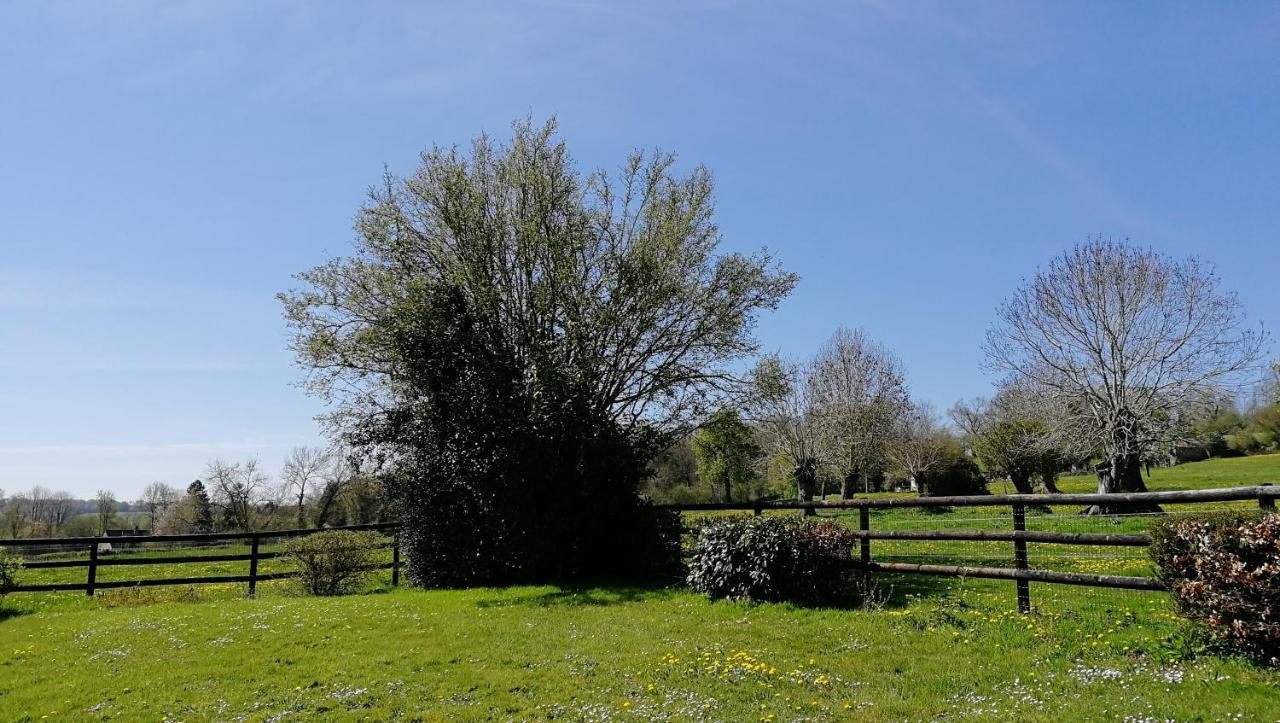 Le Cottage Du Coudray, Gite Avec Chalet Sauna La Fresnaie-Fayel 外观 照片